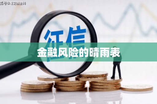 宁乡金融风险的晴雨表