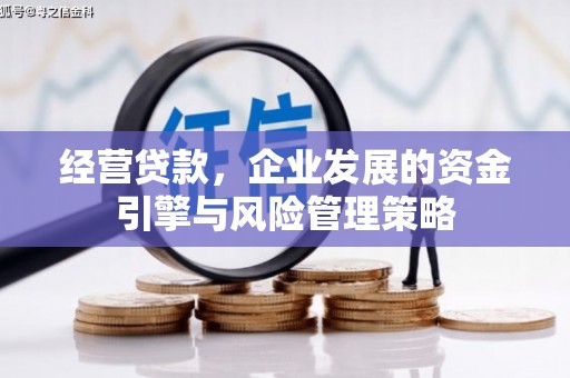 海盐经营贷款，企业发展的资金引擎与风险管理策略