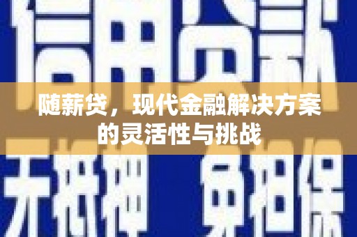 林甸随薪贷，现代金融解决方案的灵活性与挑战