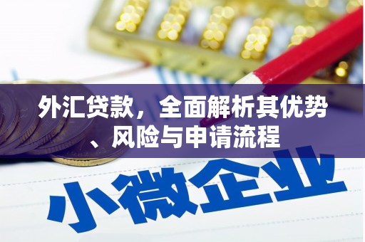 呼图壁外汇贷款，全面解析其优势、风险与申请流程