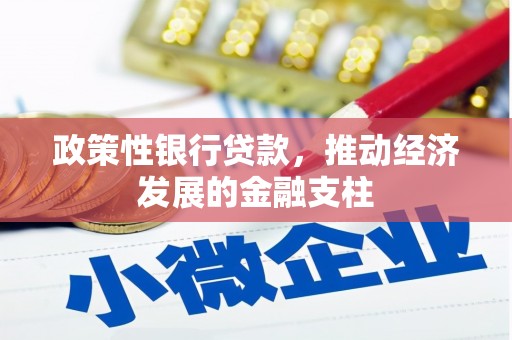 宣汉政策性银行贷款，推动经济发展的金融支柱