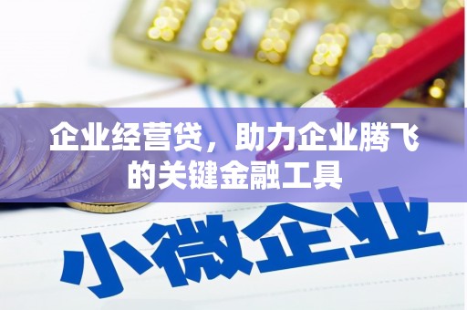 大溪企业经营贷，助力企业腾飞的关键金融工具