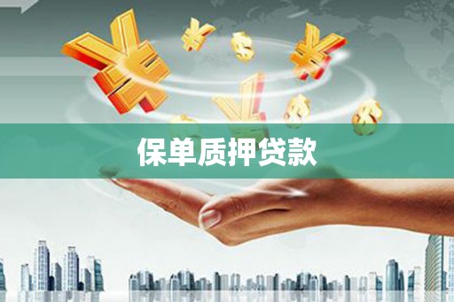 澧县保单质押贷款