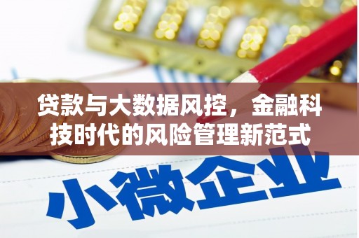 柳河贷款与大数据风控，金融科技时代的风险管理新范式