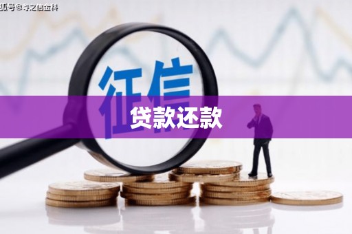 荣县贷款还款