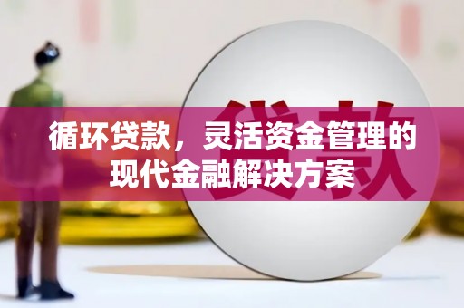 洪雅循环贷款，灵活资金管理的现代金融解决方案