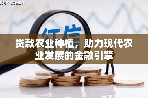 三地门贷款农业种植，助力现代农业发展的金融引擎