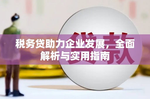 西市税务贷助力企业发展，全面解析与实用指南