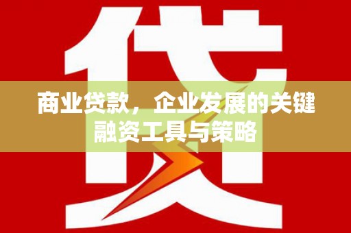 嘉黎商业贷款，企业发展的关键融资工具与策略