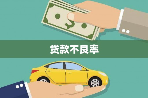 泾县贷款不良率