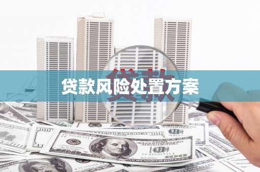容县贷款风险处置方案