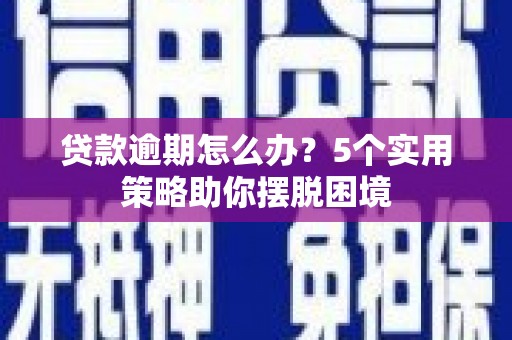沙湾贷款逾期怎么办？5个实用策略助你摆脱困境