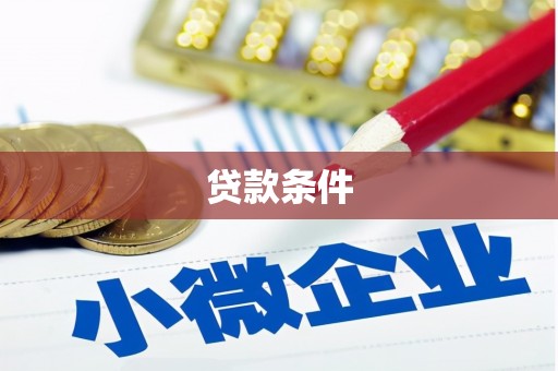 临西贷款条件