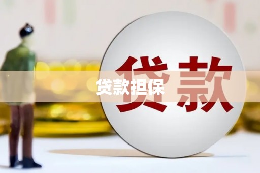 分宜贷款担保