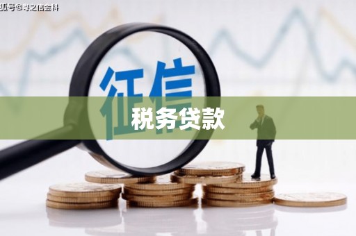 平舆税务贷款
