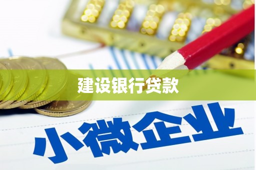 保亭建设银行贷款