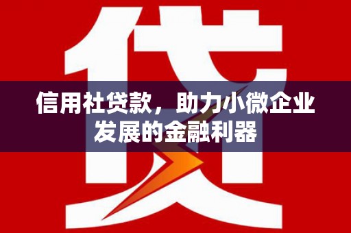 宜君信用社贷款，助力小微企业发展的金融利器
