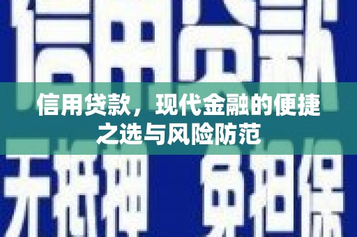 芦洲信用贷款，现代金融的便捷之选与风险防范