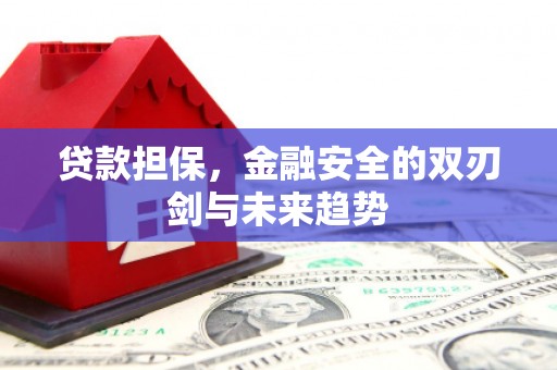 镇雄贷款担保，金融安全的双刃剑与未来趋势