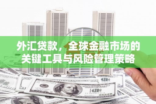青铜峡外汇贷款，全球金融市场的关键工具与风险管理策略