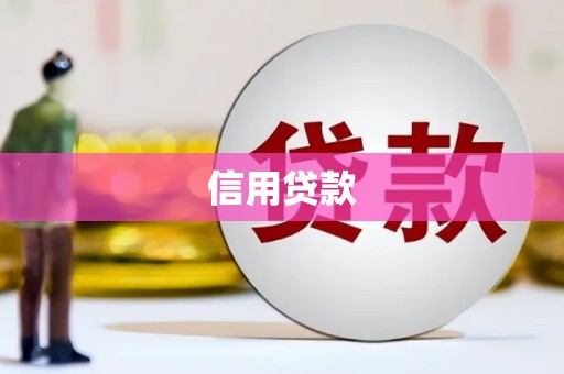 镇远信用贷款