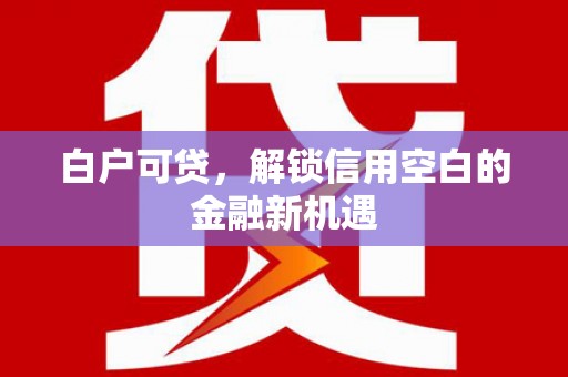 旅顺口白户可贷，解锁信用空白的金融新机遇