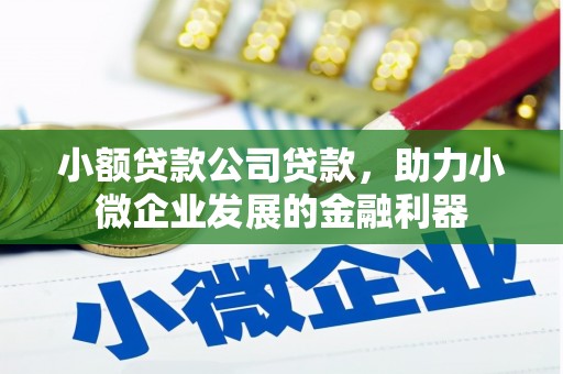 福海小额贷款公司贷款，助力小微企业发展的金融利器