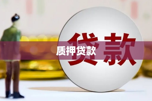 宝山质押贷款