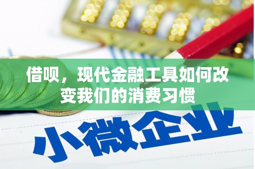 德化借呗，现代金融工具如何改变我们的消费习惯