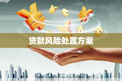 芦山贷款风险处置方案