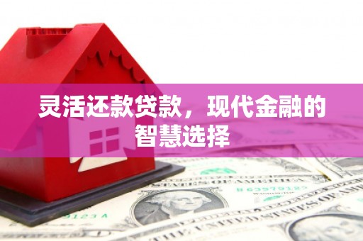 施甸灵活还款贷款，现代金融的智慧选择