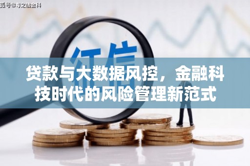 舞阳贷款与大数据风控，金融科技时代的风险管理新范式