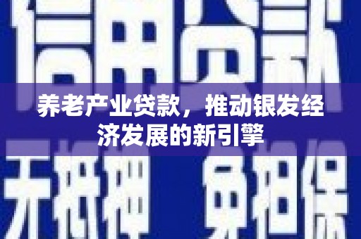 泽普养老产业贷款，推动银发经济发展的新引擎