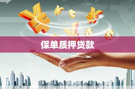 秀林保单质押贷款
