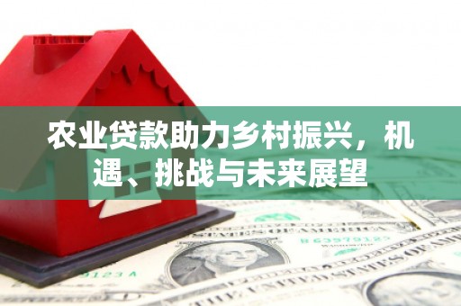 池州农业贷款助力乡村振兴，机遇、挑战与未来展望