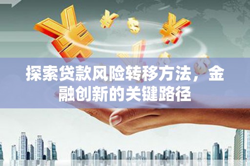 桑日探索贷款风险转移方法，金融创新的关键路径