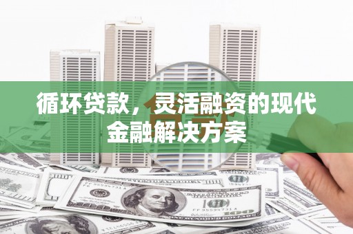 玉山循环贷款，灵活融资的现代金融解决方案