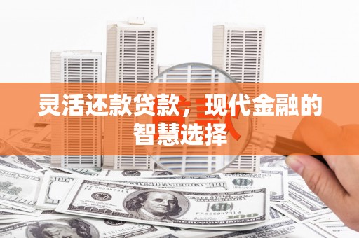 巴里坤灵活还款贷款，现代金融的智慧选择