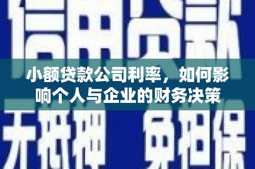 启东小额贷款公司利率，如何影响个人与企业的财务决策