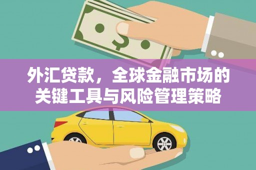 港口外汇贷款，全球金融市场的关键工具与风险管理策略