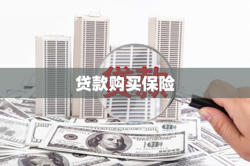 贵定贷款购买保险