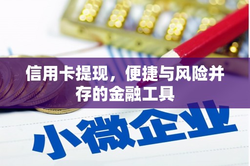 雨山信用卡提现，便捷与风险并存的金融工具