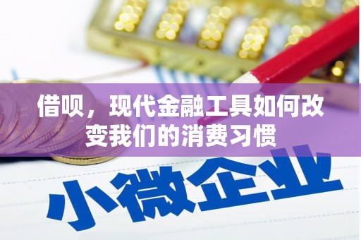 竹北借呗，现代金融工具如何改变我们的消费习惯