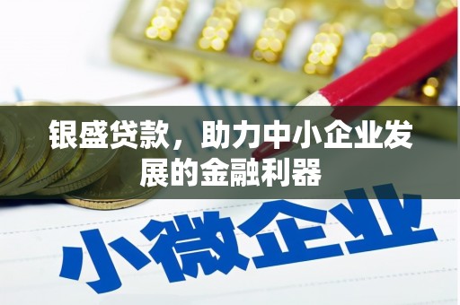 民权银盛贷款，助力中小企业发展的金融利器