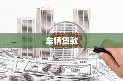 鱼池车辆贷款