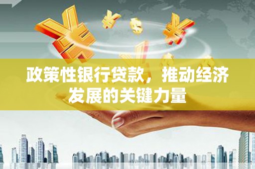 浈江政策性银行贷款，推动经济发展的关键力量