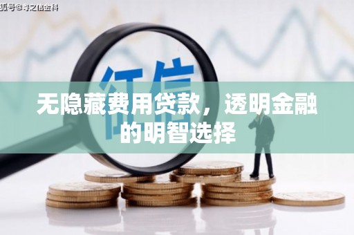 汉滨无隐藏费用贷款，透明金融的明智选择