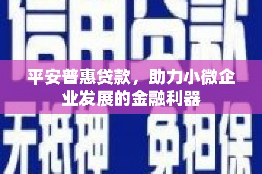 镇海平安普惠贷款，助力小微企业发展的金融利器