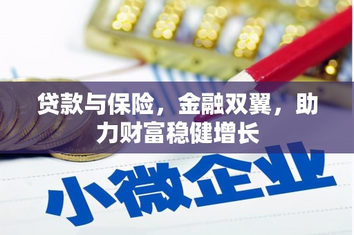 施甸贷款与保险，金融双翼，助力财富稳健增长