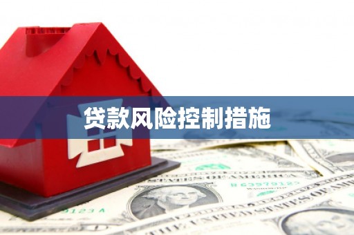 康马贷款风险控制措施